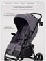 Коляска прогулочная Rant Basic Alpine 2026 Dark grey 1941460111