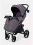 Коляска прогулочная Rant Basic Alpine 2026 Dark grey 1941460111