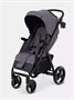 Коляска прогулочная Rant Basic Alpine 2026 Dark grey 1941460111