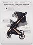 Коляска прогулочная Rant Basic Vortex Black 1315066004