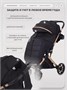 Коляска прогулочная Rant Basic Vortex Black 1315066004