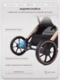 Коляска прогулочная Rant Basic Vortex Black 1315066004