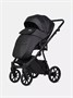 Коляска 3 в 1 Riko Basic Montana X Ecco 12 Black 543852446