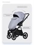 Коляска 3 в 1 Riko Basic Montana X Ecco 23 Grey 1677907442
