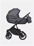 Коляска 3 в 1 Riko Basic Montana Ecco 24 Graphite 1580255402