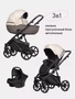 Коляска 3 в 1 Riko Basic Montana Plus 43 Mocca 526480839