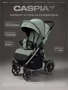 Коляска прогулочная Rant Caspia Soft 2026 Forest green 435600169