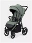 Коляска прогулочная Rant Caspia Soft 2026 Forest green 435600169