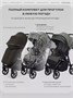 Коляска прогулочная Rant Caspia Soft 2026 Shine brown 394936915