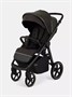 Коляска прогулочная Rant Caspia Soft 2026 Shine brown 394936915
