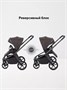 Коляска прогулочная Rant Flex Color Shine brown 1571180674