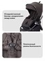 Коляска прогулочная Rant Flex Color Shine brown 1571180674