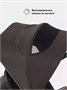 Коляска прогулочная Rant Flex Color Shine brown 1571180674