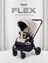 Коляска прогулочная Rant Flex 2025 RA078 Stone 348371619