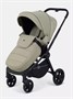 Коляска прогулочная Rant Flex 2025 RA078 Light green 757161764