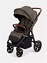 Коляска прогулочная Mowbaby Trail Mocca 1206888834