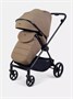 Коляска прогулочная Rant Nero Carbon Beige 153403862
