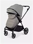 Коляска прогулочная Rant Nero Carbon Grey 1094138850