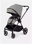 Коляска прогулочная Rant Nero Carbon Grey 1094138850