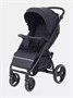 Коляска прогулочная Rant Basic Alpine 2025 Black 397040156