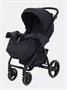 Коляска прогулочная Rant Basic Alpine 2025 Black 397040156
