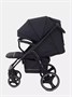 Коляска прогулочная Rant Basic Alpine 2025 Black 397040156