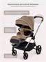 Коляска прогулочная Rant Moss Prime Beige 634580541