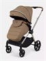Коляска прогулочная Rant Moss Prime Beige 634580541