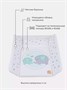 Пеленальный матрасик Топотушки Слоники 80x71 418651509