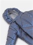 Комбинезон демисезонный Rant Shine Blue 1454328458
