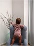 Боди Mowbaby Birds с длинным рукавом (3 шт.) rose арт. 6182 1667752967
