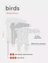 Комбинезон Mowbaby Birds на молнии (3 шт.) milk арт. 1282 631937913