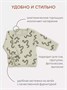 Распашонка 2 шт. Rant Hugs and kisses Pattern Grey-green 53/54 1554285559