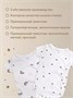 Боди-кимоно (3 шт.) с коротким рукавом Rant Basic Funny Milk арт. 6990 1887252758