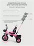 Велосипед 3-колесный Rant Basic Dandy Pink 1264464269