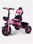 Велосипед 3-колесный Rant Basic Dandy Pink 1264464269