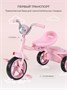 Велосипед 3-колесный Mowbaby Roadie Pink 1324459508