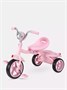 Велосипед 3-колесный Mowbaby Roadie Pink 1324459508