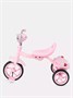 Велосипед 3-колесный Mowbaby Roadie Pink 1324459508