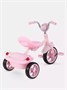 Велосипед 3-колесный Mowbaby Roadie Pink 1324459508