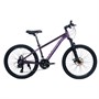 Велосипед 24' WOLF Platinum PL840 860731684