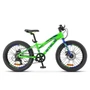 Велосипед Stels 20" Pilot 270 MD + V010 (LU089615) 1006057059
