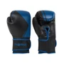 Перчатки боксерские INSANE MONTU IN23-BG500, ПУ, синий, 8 oz 1526495013
