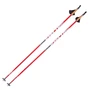 Палки Alpha Pro Race Carbon 100% (Свободная сборка) 1991727017