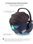 Автокресло Rant Aster Zero (40-87см) Brown 882359481