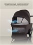 Коляска 2 в 1 Rant Flex Soft Therm Shine brown 754181704