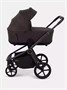 Коляска 2 в 1 Rant Flex Soft Therm Shine brown 754181704