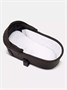 Коляска 2 в 1 Rant Flex Soft Therm Shine brown 754181704