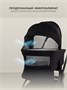 Коляска 2 в 1 Rant Flex Soft Therm Gold black 1162183739