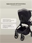 Коляска 2 в 1 Rant Flex Soft Therm Gold black 1162183739